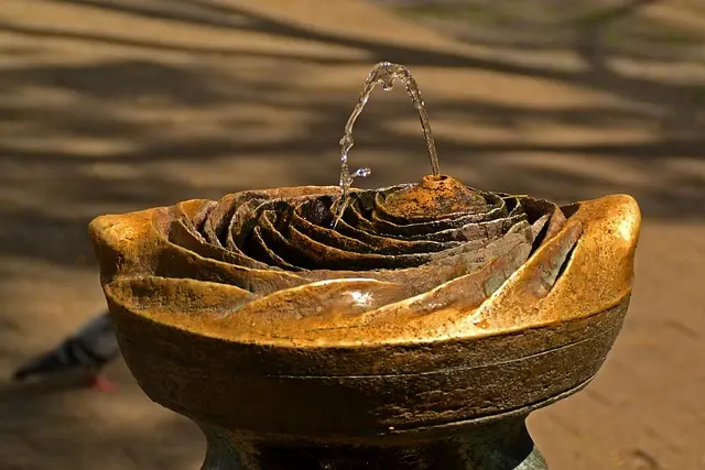 Top Rated Cat Water Fountains for Cat Care