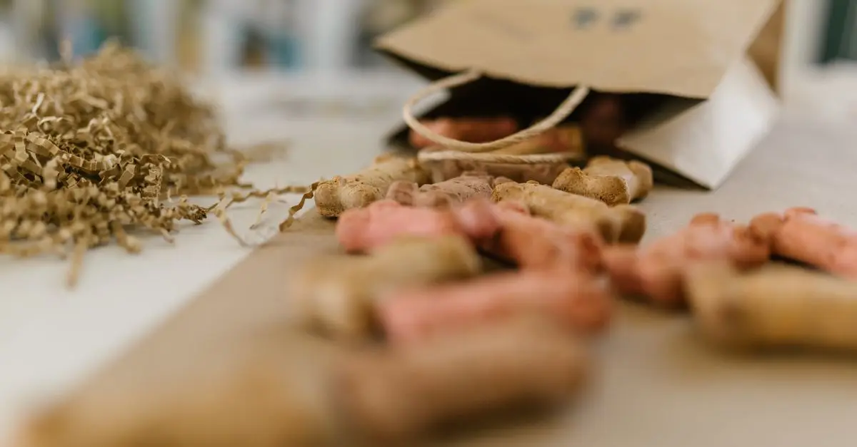 Eco-Friendly Pet Foods: A Comprehensive Buying Guide
