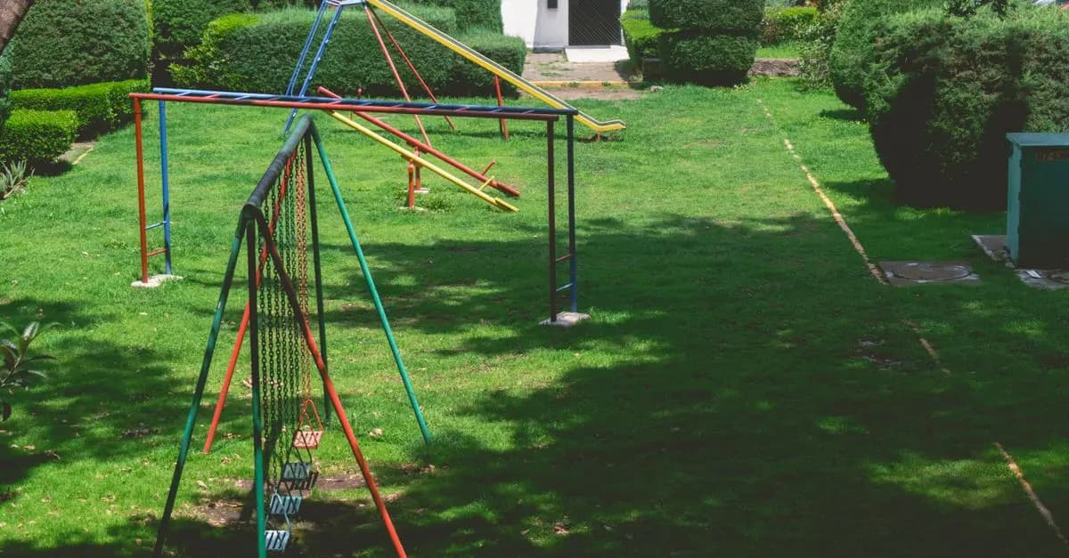 Juegos para divertirse con mascotas: Guía completa