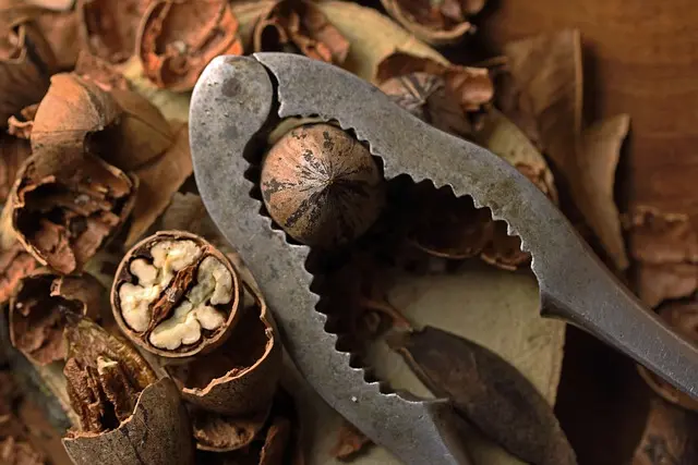 Top aplikacje mobilne - Przewodnik zakupowy