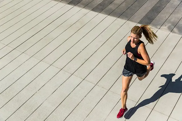 Essential Pet Exercise Routines for Health