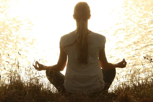 Yoga Divertido para Principiantes: Guía de Compra