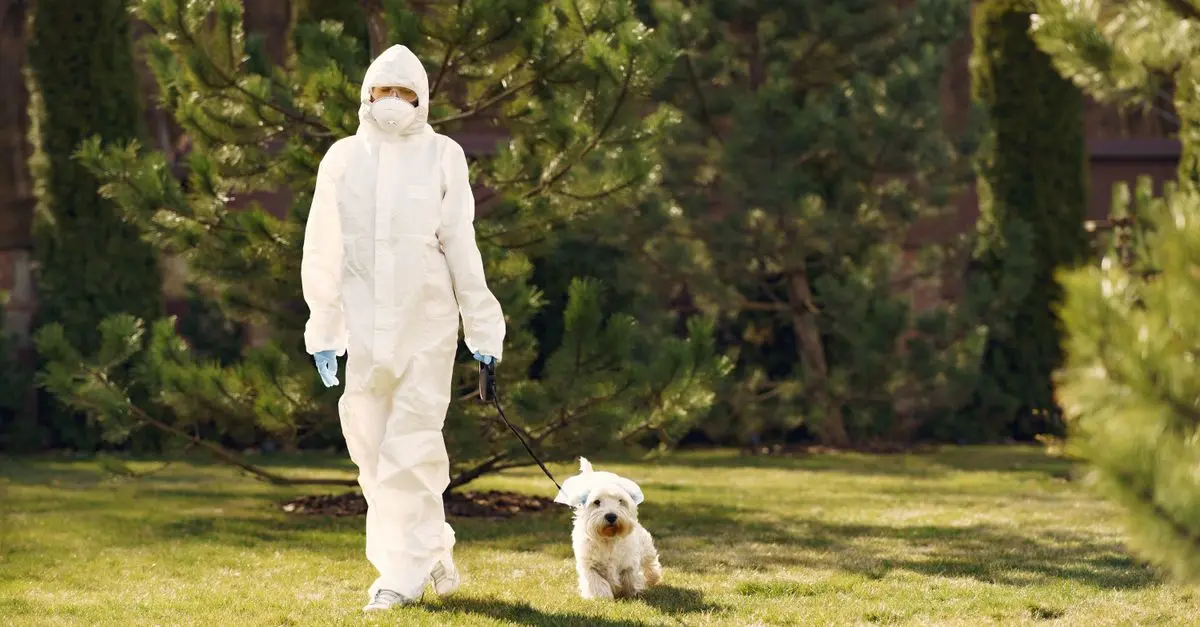 Avoid These Common Mistakes to Prevent Pet Diseases