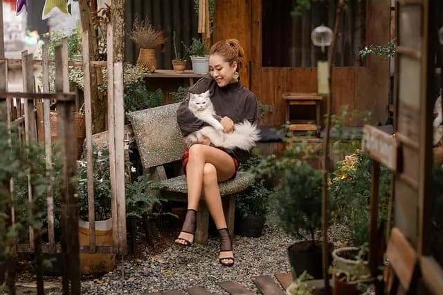 Explore Pet Fashion Trends for Stylish Pets