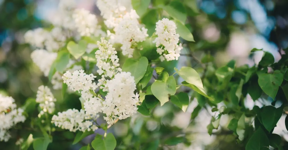 Guide d'achat meilleur mobilier de jardin en métal