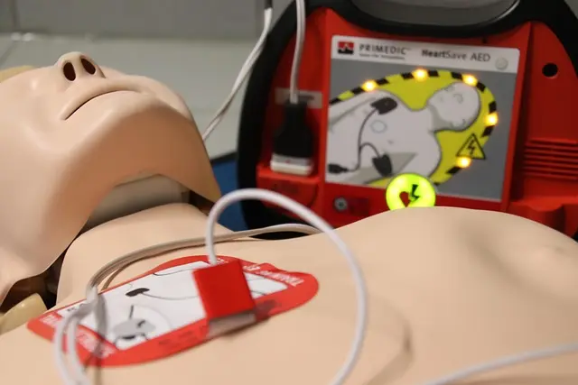 Essential Pet First Aid Supplies for Emergencies