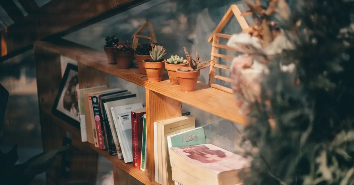 Mejores Libros sobre Conexión Social - Guía de Compra
