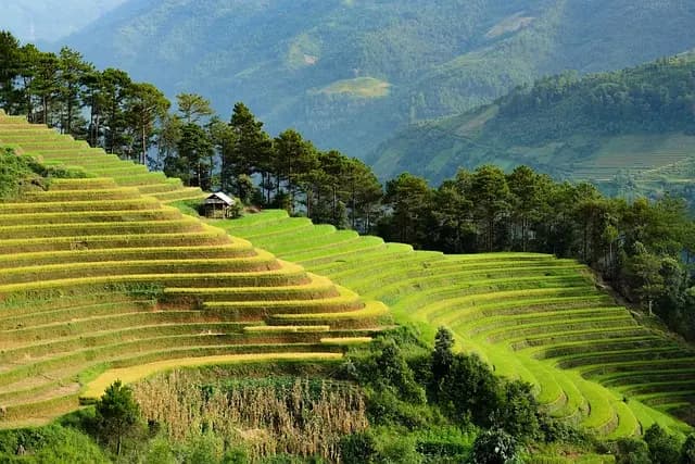 Eco-Friendly Travel Gear Buying Guide
