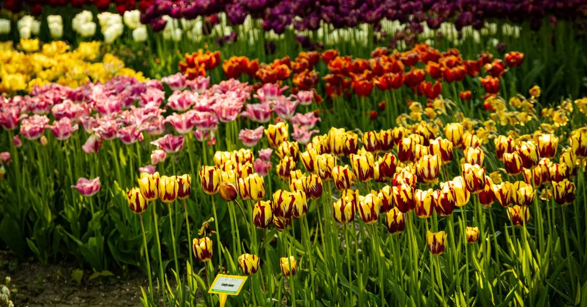 Guide d'achat : Créez votre jardin intérieur